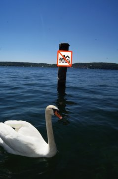 Verbots Schild nicht Schwimmen
