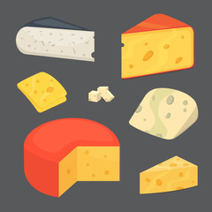 Cheese types . cartoon style vector illustration icons.