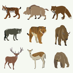 Set of forest animals. Bear, bison, wild boar, fox