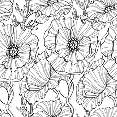 Seamless pattern with poppy flowers. Floral background. Black and white illustration