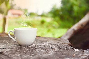 Morning coffee in garden.
