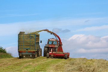 Tractor harvesting the silage, Ireland 