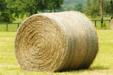 Hay Bale