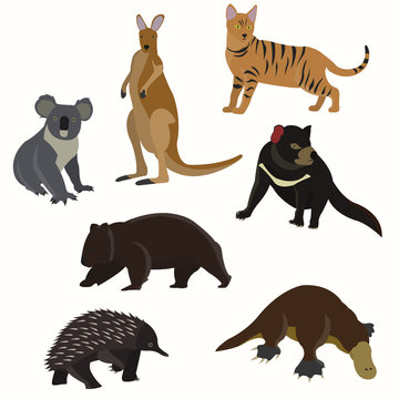 Set of australian animals.