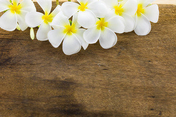 Frangipani, Pumeria, Frangipanni, isolated on wooden background