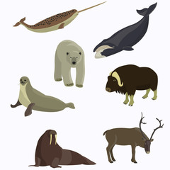 Arctic animals collection.