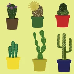 Crédence en verre imprimé Cactus en pot Collection de vecteurs de cactus.