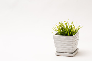 white decorative flower pot with fake green plant