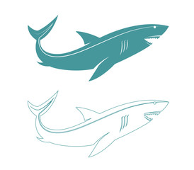 Shark isolated on a white background.