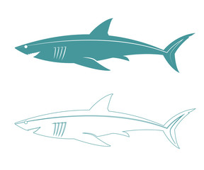 Shark isolated on a white background.