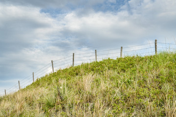 Fototapeta premium barbed wire fence in Nebraska Sandhills