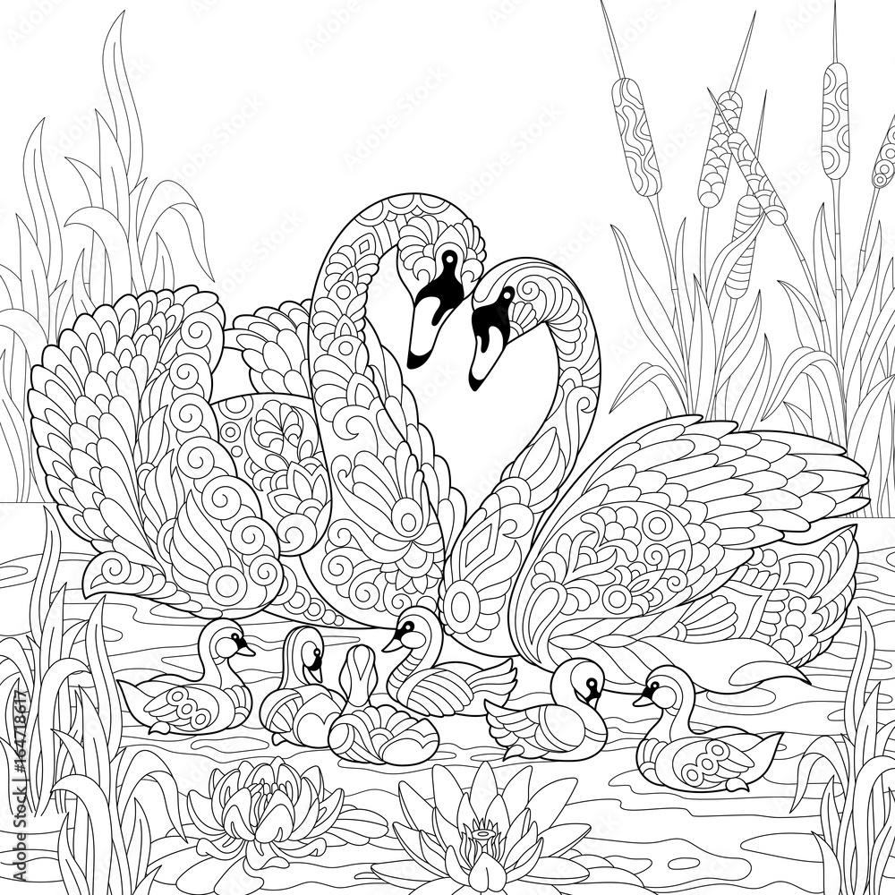 Wall mural coloring book page of swan birds family, lotus flowers and reed grass. freehand sketch drawing for a