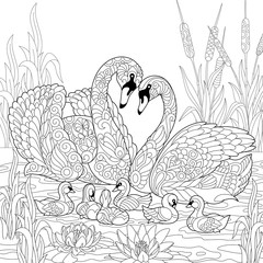 Fototapeta premium Coloring book page of swan birds family, lotus flowers and reed grass. Freehand sketch drawing for adult antistress colouring with doodle and zentangle elements.