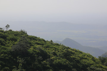 jungle cubaine