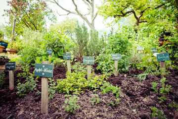 Kräutergarten