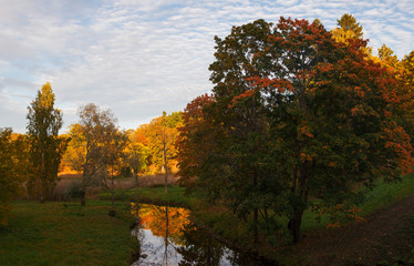 Obraz premium Park in red and orange colors