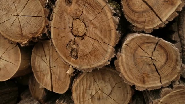 Folded logs in production,full hd video