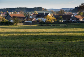 Fototapeta na wymiar Village with houses with red roofs behind the field