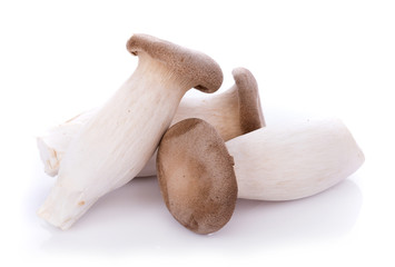 King oyster mushroom Pleurotus eryngii on white background