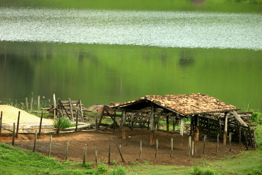 Fazenda de gado