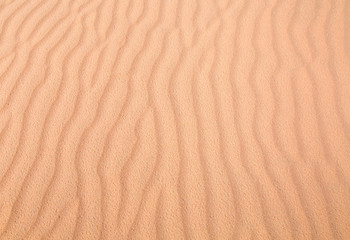 Sand Dune texture background
