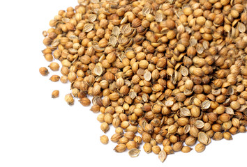 Coriander seeds