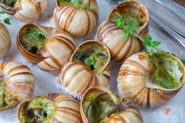 Baked snails with garlic butter and fresh herbs