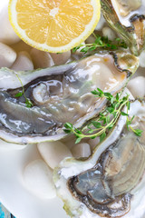 raw oysters with lemon and ice
