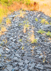 Obraz premium shards of shattered dark glass in the nature