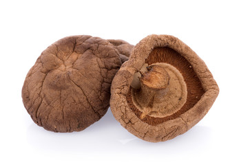 Dry Mushrooms isolated on white background