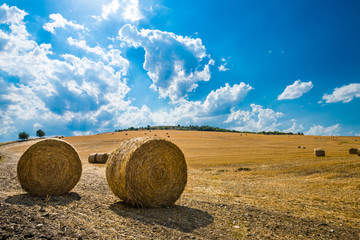 Naklejka na ściany i meble Beautiful view of golden hills with wheat fields with hay bales in the foreground. Environmental conservation in the Basilicata region, Italy. Rural scene. 
