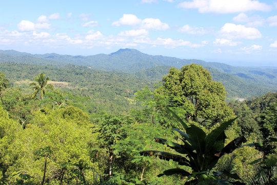Landschaft im Landesinneren von Java