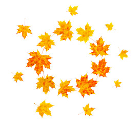 Frame of yellow and orange beautiful autumnal maple leaves on a white background with space for text. Top view, flat lay.