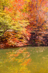Naklejka na ściany i meble Autumn landscape in (seven lakes) Yedigoller Park Bolu, Turkey