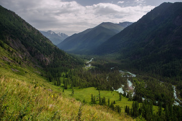 Mountain valley with a river and a thick forest of pine trees with high, steep slopes, view from...
