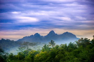 Fotobehang borobudur mountains hill indonesia forest © murrrrrs