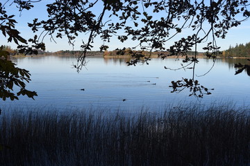 Staffelsee
