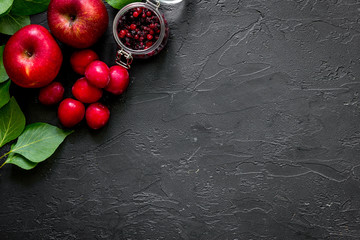 Apple, pulm and cranberry for summer drink on black table top view copyspace