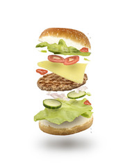Burger isolated