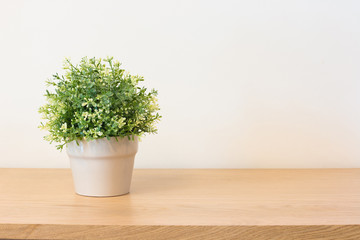 Plant on book shelf or desk.