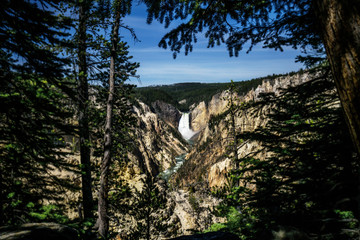 Fototapeta na wymiar Waterfall in the Canyon through the Trees