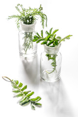 Fresh medicinal herbs in glass on white background