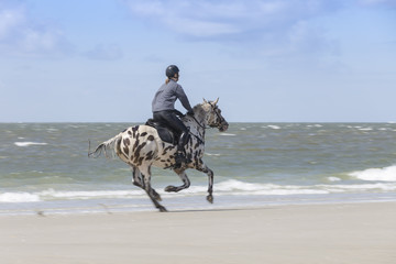 Reiter am Strand auf Römö in Dänemark