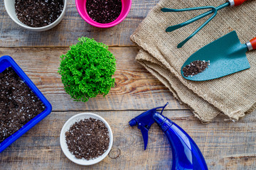 Planting flowers. Gardening tools and pots with soil on wooden background top view