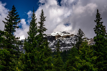 Mountain Peak through the Trees