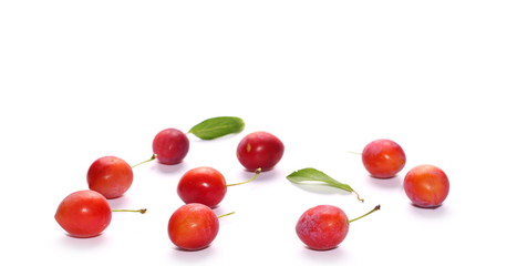 Wild plums with leaves and twigs, ringlov, isolated on white background