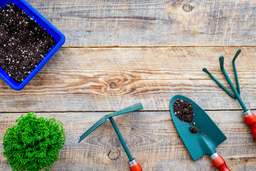 Working in garden. Gardening tools and pots with soil on wooden background top view copyspace