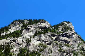 Granite mountains covered by pine trees in summer