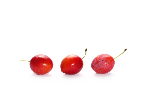 Wild plums with leaves and twigs, ringlov, isolated on white background