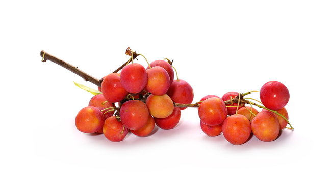 Wild plums with leaves and twigs, ringlov, isolated on white background